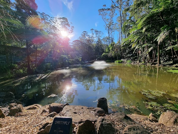 Tamborine Mountain 5