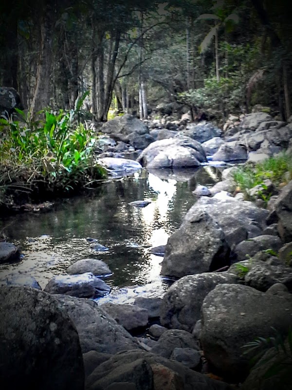 Tamborine Mountain 2
