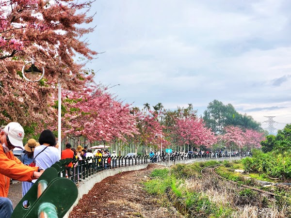 二水花旗木鐵道