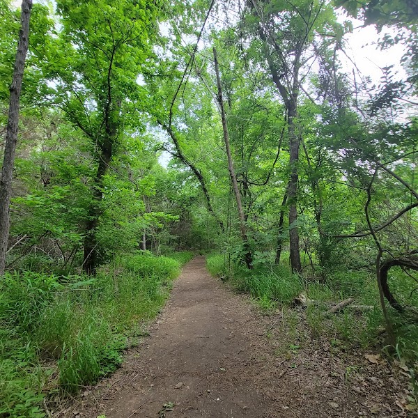 St. Edward's Greenbelt 4