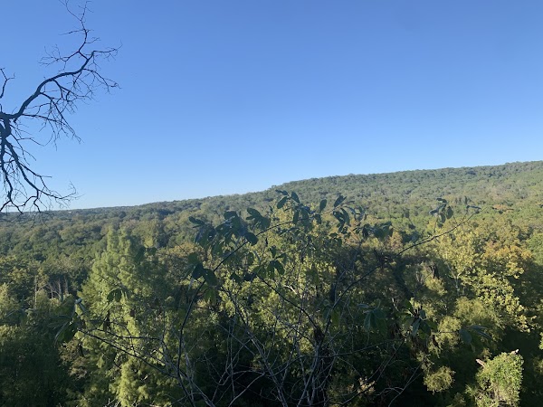 St. Edward's Greenbelt 2