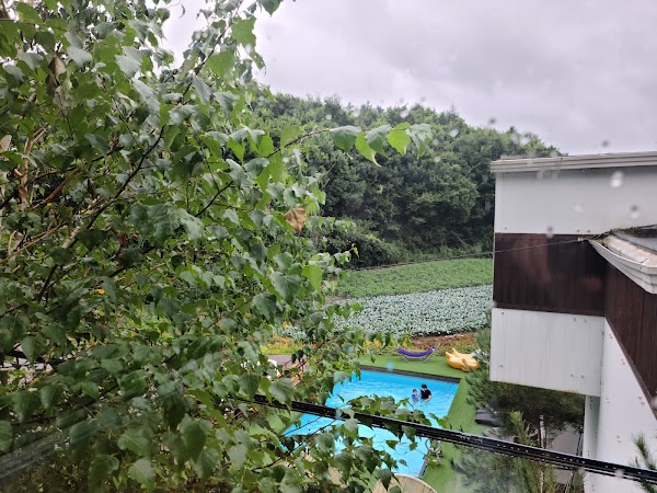 모모의다락방