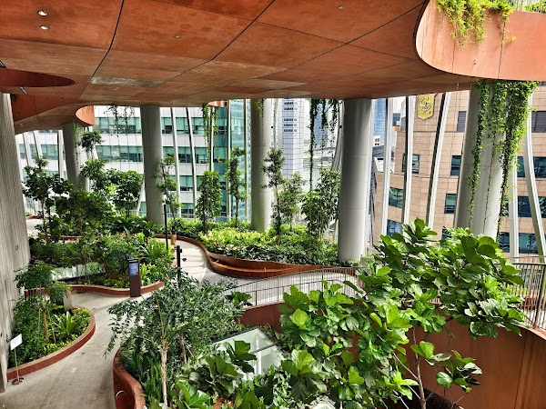 Singapore 6
