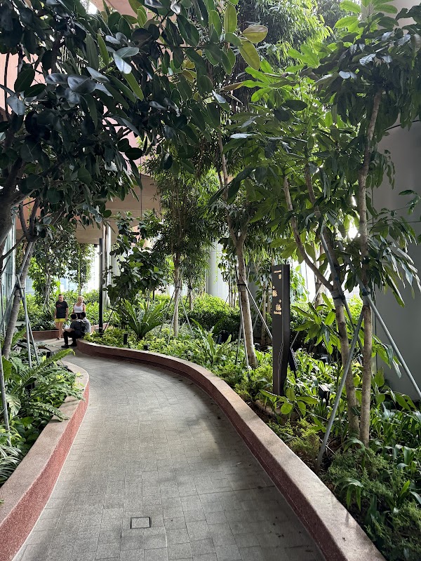 Green Oasis - CapitaSpring 5