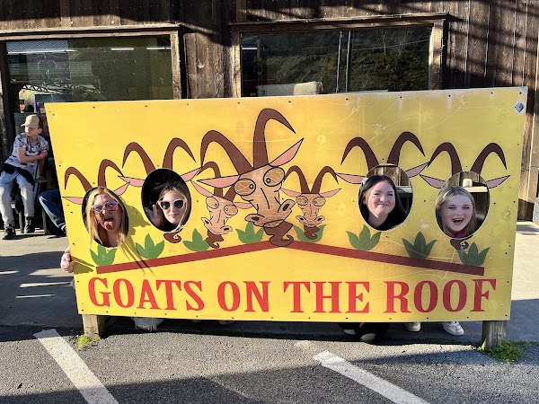 The Goat Coaster at Goats on the Roof 3