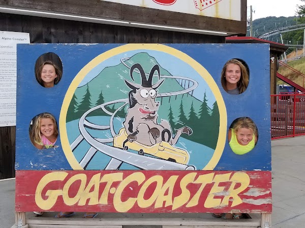 The Goat Coaster at Goats on the Roof 2