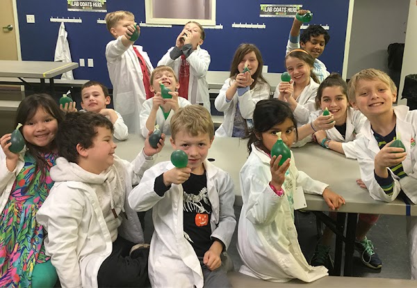 Science Fun For Everyone! 1