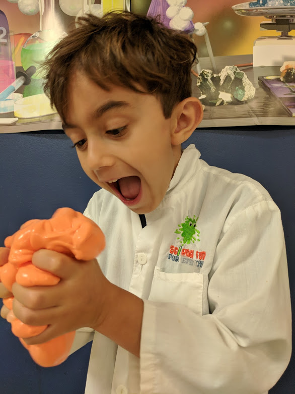 Science Fun For Everyone! 4