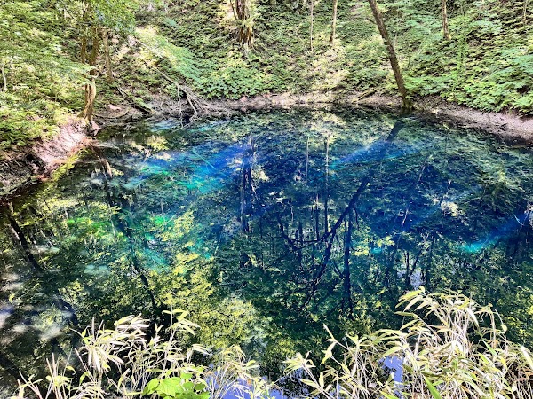 Lake Jūniko 5
