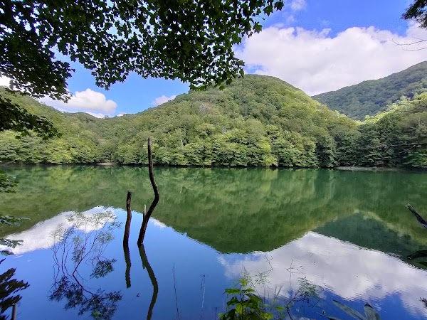 Lake Jūniko 4