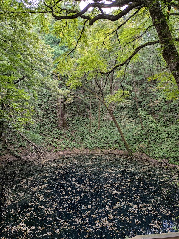 Lake Jūniko 2