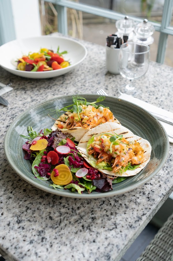 Avoca Fern House Cafe 5