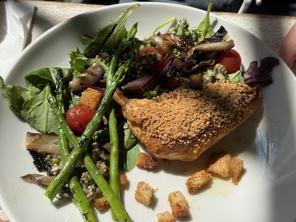 Avoca Fern House Cafe 2