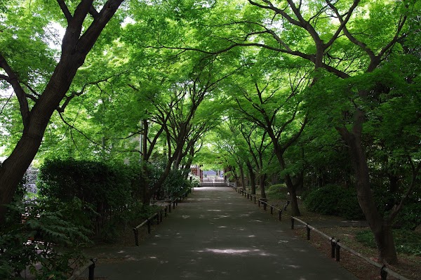Kōenji Temple 5