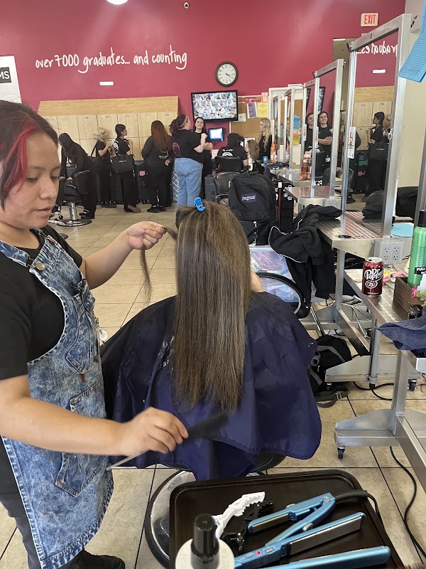 Academy of Hair Design 1