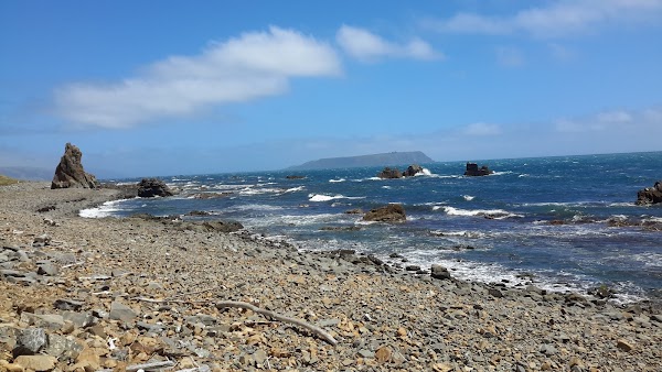 Pukerua Bay Scientific Reserve 1