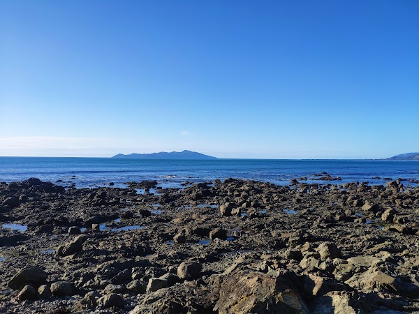 Pukerua Bay Scientific Reserve 5
