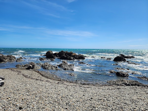 Pukerua Bay Scientific Reserve 4