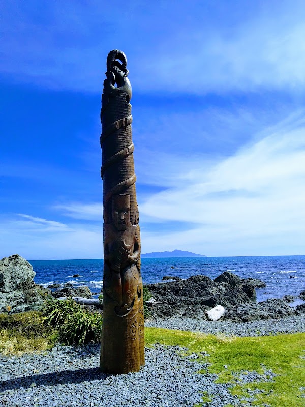 Pukerua Bay Scientific Reserve 3