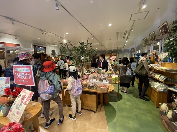 Kobe Harborland umie Mosaic 5