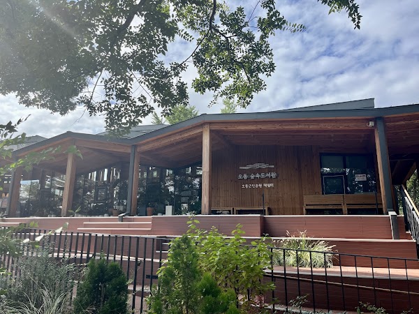 Odong Forest Library 4