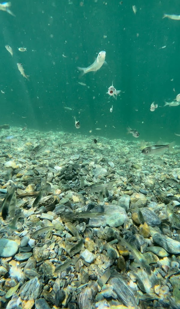 Doi River