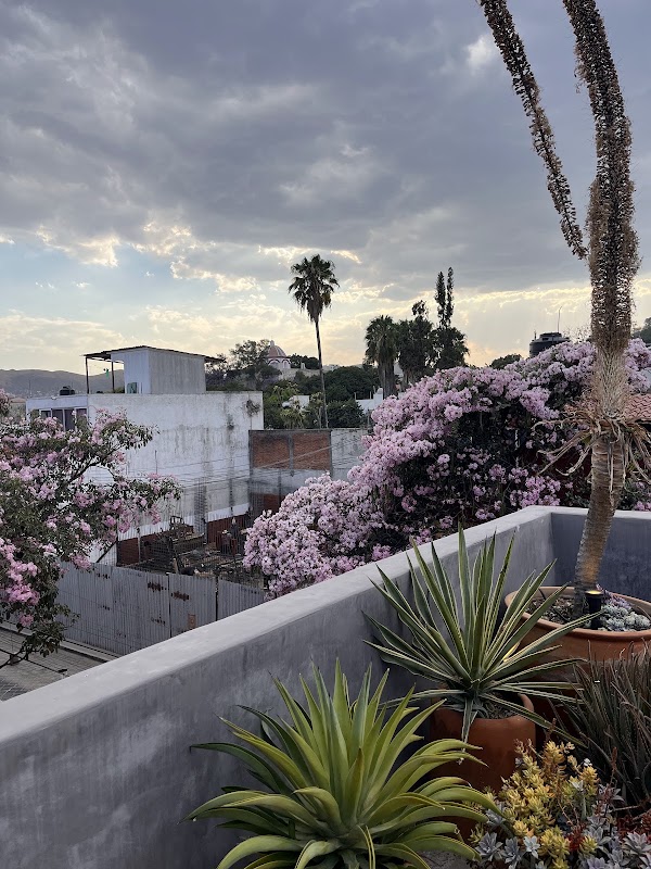 Macondo Arte Oaxaca