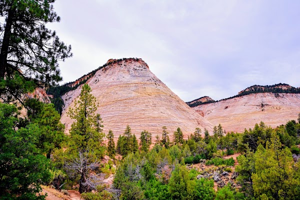 Checkerboard Mesa View Area