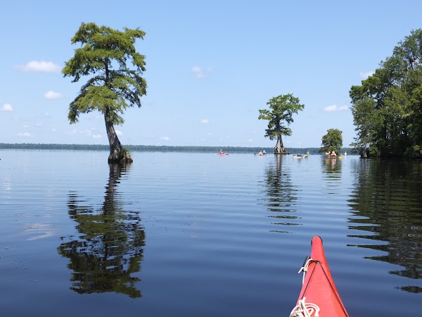 Lake Drummond