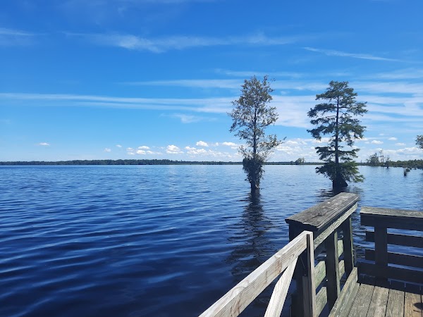 Lake Drummond 5