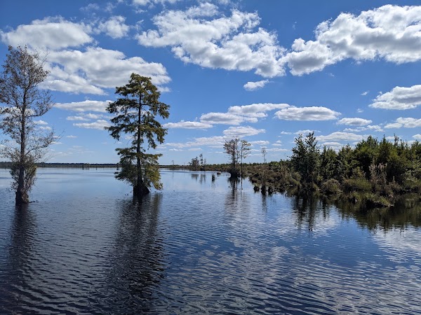 Lake Drummond 4