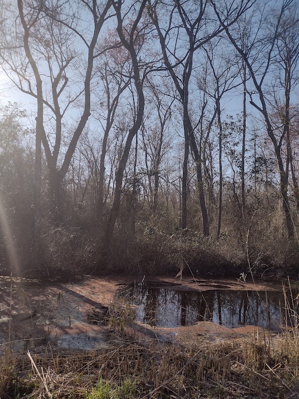 Lake Drummond 3
