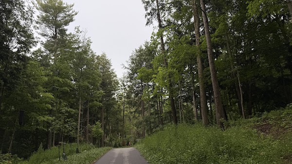 Environmental Park Boardwalk 5