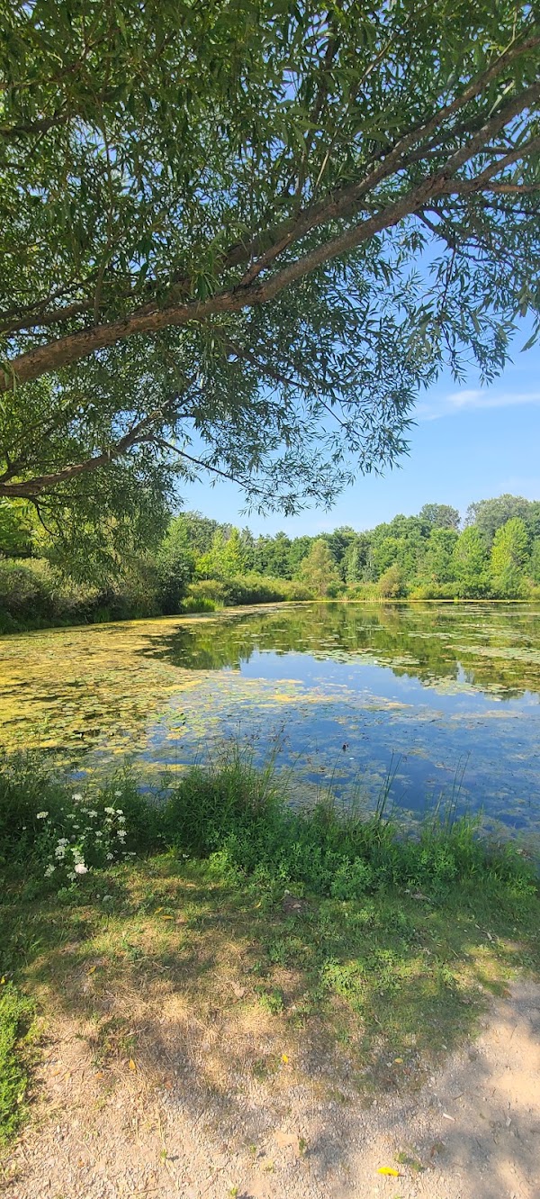 Environmental Park Boardwalk 2
