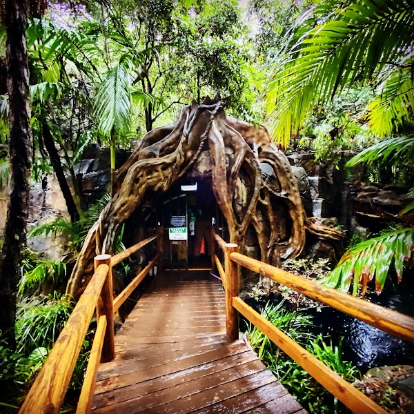 Glow Worm Caves 5