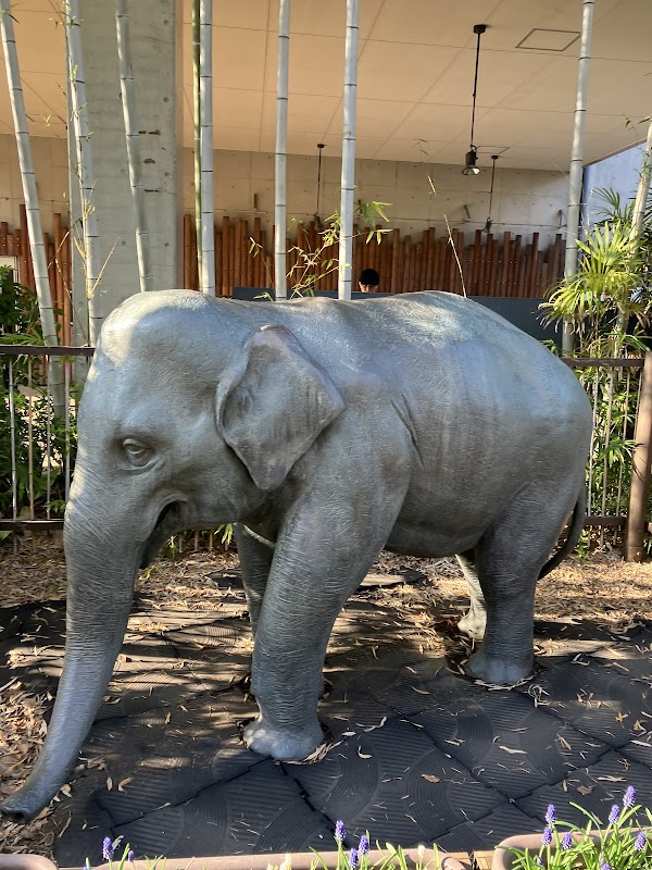 Ueno Zoological Gardens 5