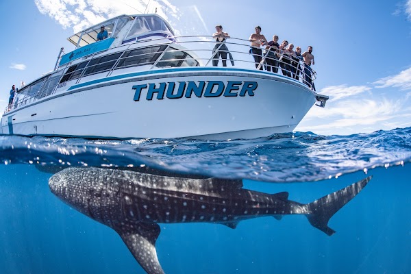 Coral Bay EcoTours