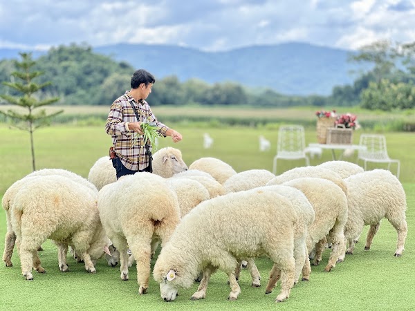 StardoiFarm Khaoyai