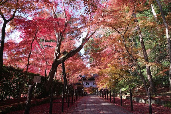 Maple Approach (Yakui-mon Gate)