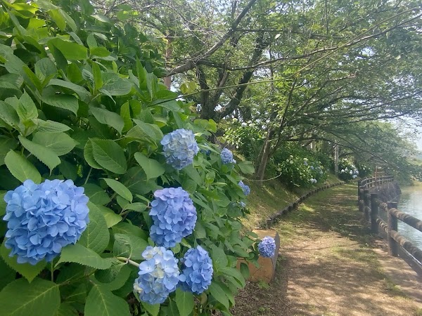 Togawa Dam Park 2