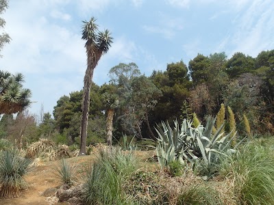 Lokrum Botanical Garden