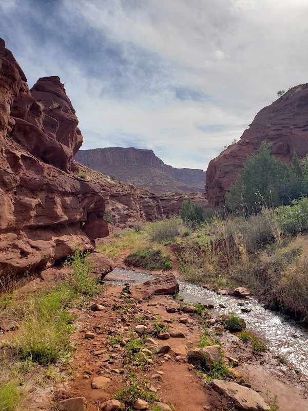 Professor Creek/Mary Jane Canyon 5