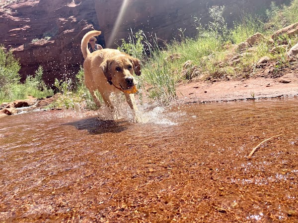 Professor Creek/Mary Jane Canyon 2