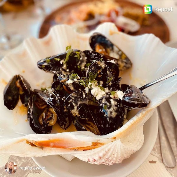 Nikos Gallop Restaurant 5