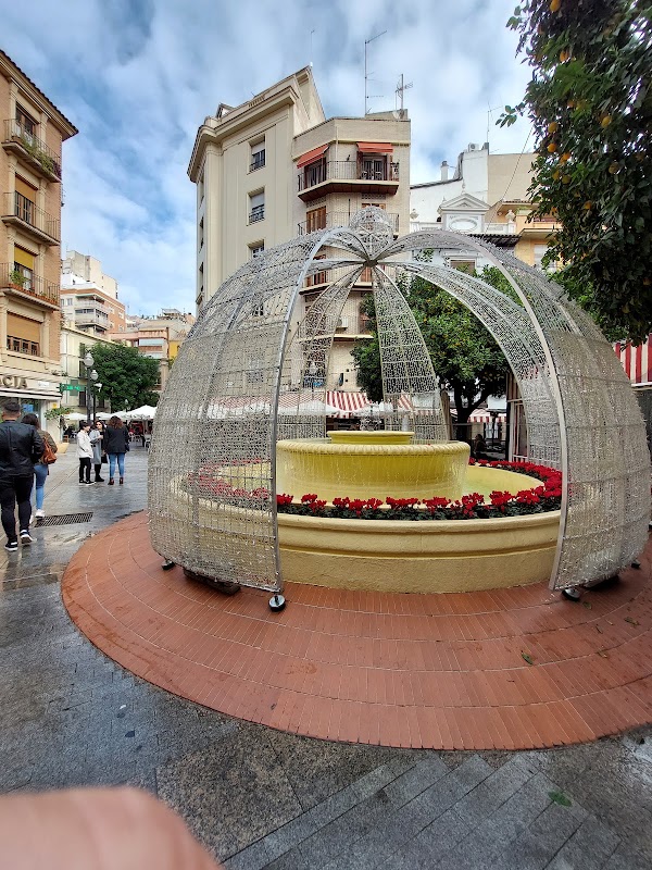 Murcia 5