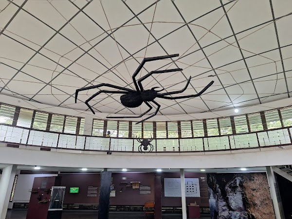 National Museum of Ghana 4