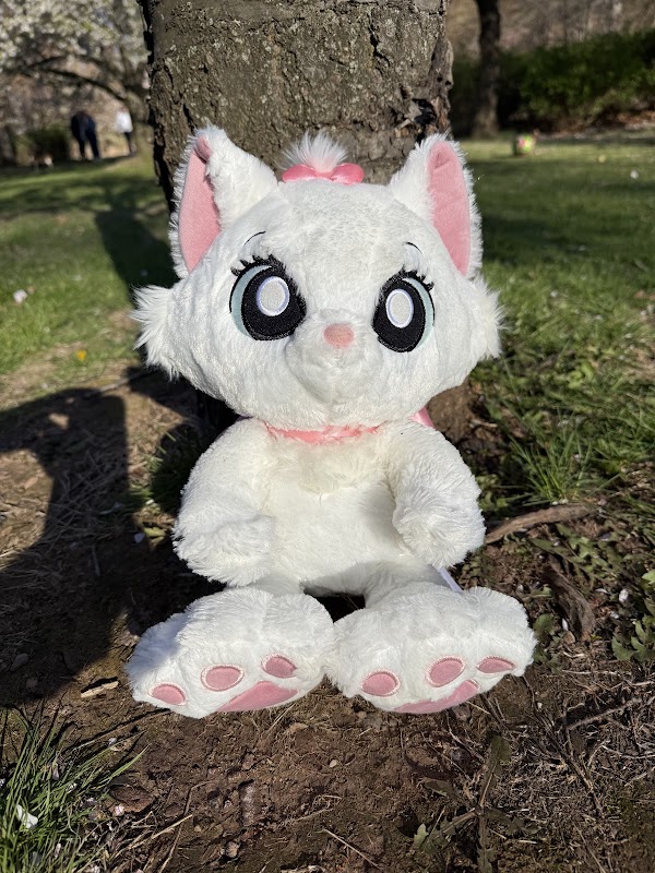 Cherry Blossom Park 1