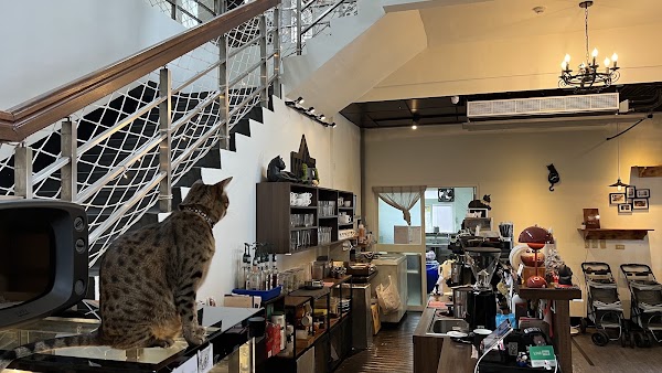 豹豹咖啡 • 森林館