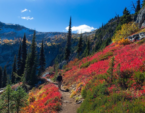 Maple Pass 3
