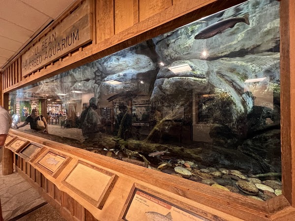 L.L.Bean Flagship 2